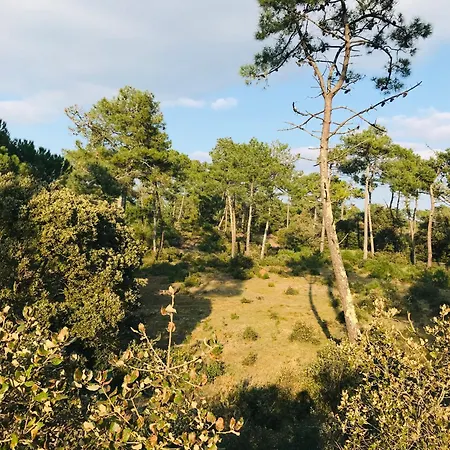 La Tonka, Maison Neuve Proche Ocean Feriehus