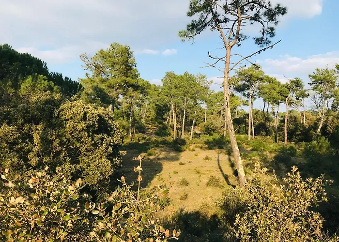 La Tonka, Maison Neuve Proche Océan Hébergement de vacances